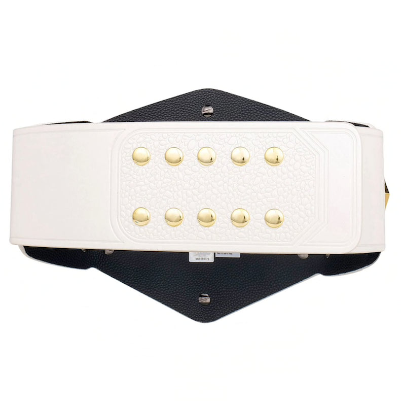 NXT Women’s Tag Team Championship Title Belt