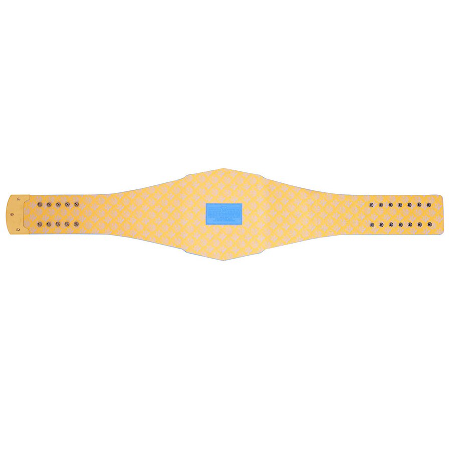 New Los Angeles Chargers Legacy Replica Title Belt
