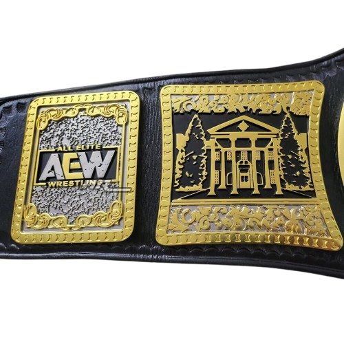 AEW TBS Championship Belt