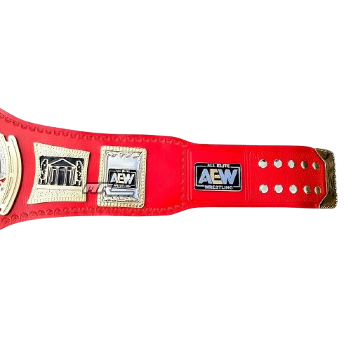 AEW TNT Championship Belt Replica