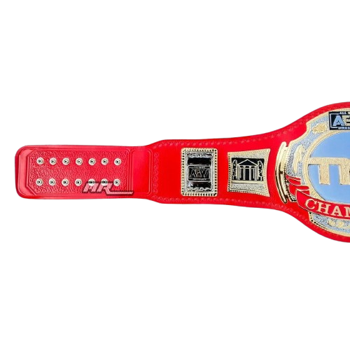 AEW TNT Championship Belt Replica