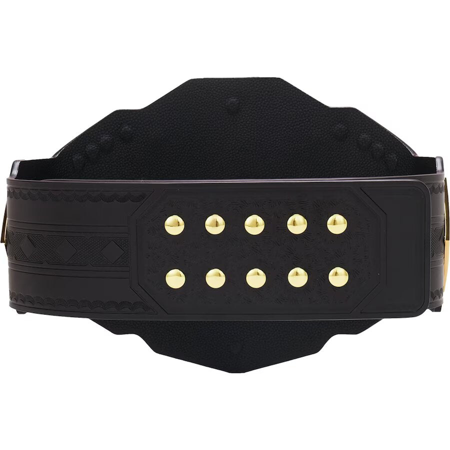 NXT Championship Replica Title Belt