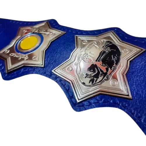 Jeff Hardy Championship Belt Replica