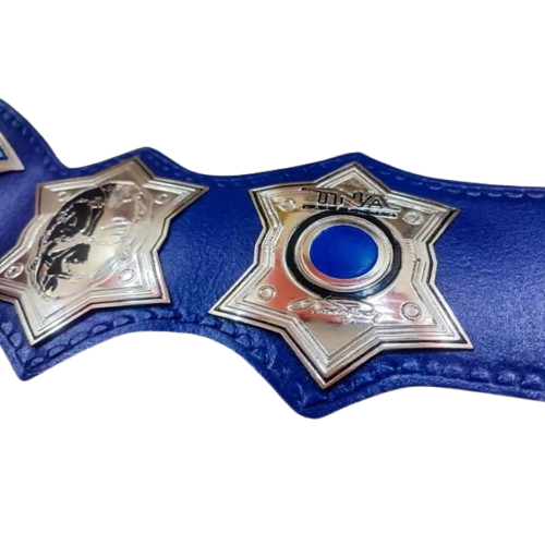 Jeff Hardy Championship Belt Replica