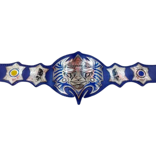 Jeff Hardy Championship Belt Replica