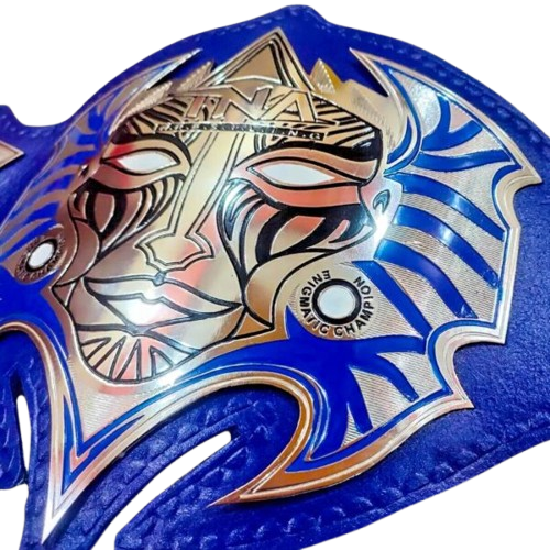 Jeff Hardy Championship Belt Replica