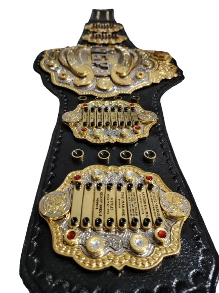 IWGP Heavyweight Championship Title - Top Quality 3D Wrestling Belt in Brass