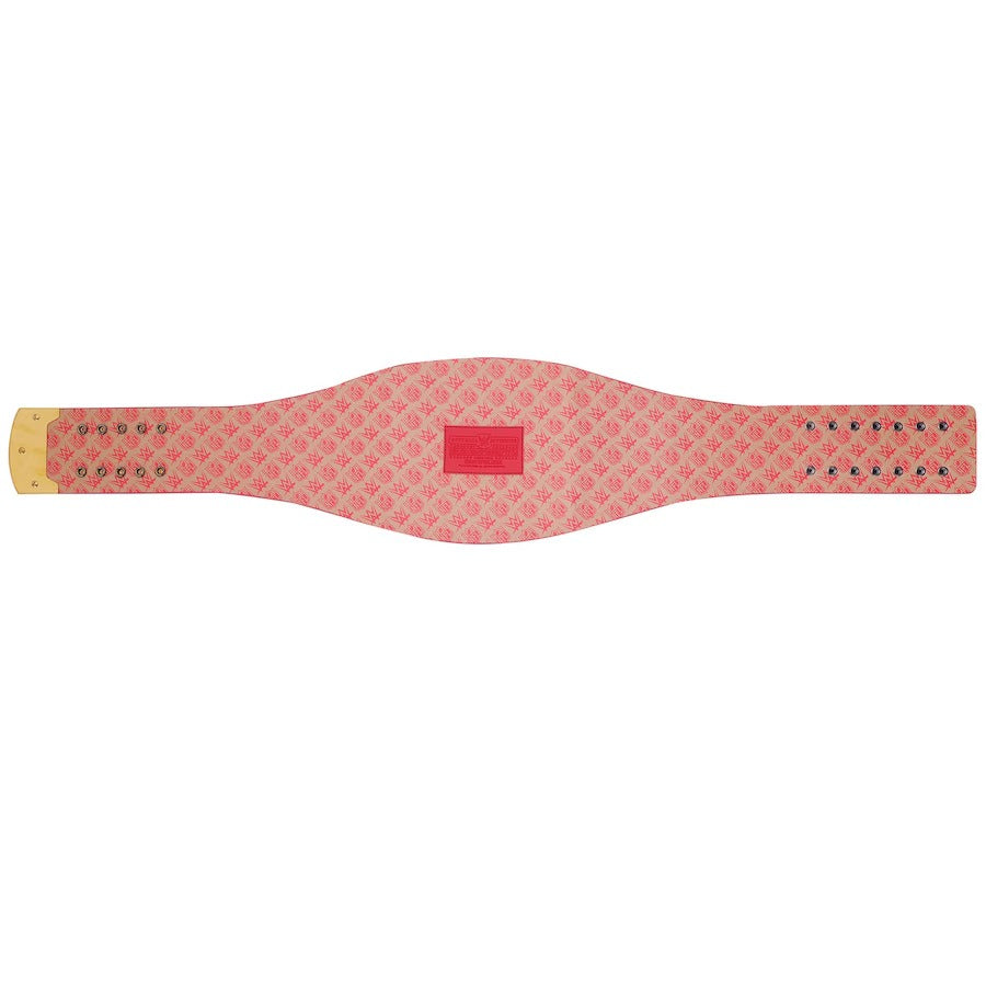 New San Francisco 49ers WWE Legacy Title Belt