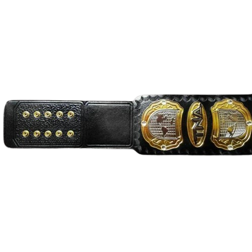 TNA Heavyweight Championship Replica Title Belt
