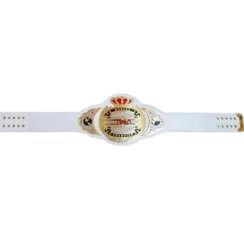 TNA Championship Womens Wrestling Replica Title Belt