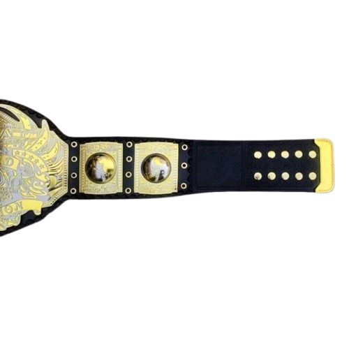 TNA World Championship Replica Title Belt
