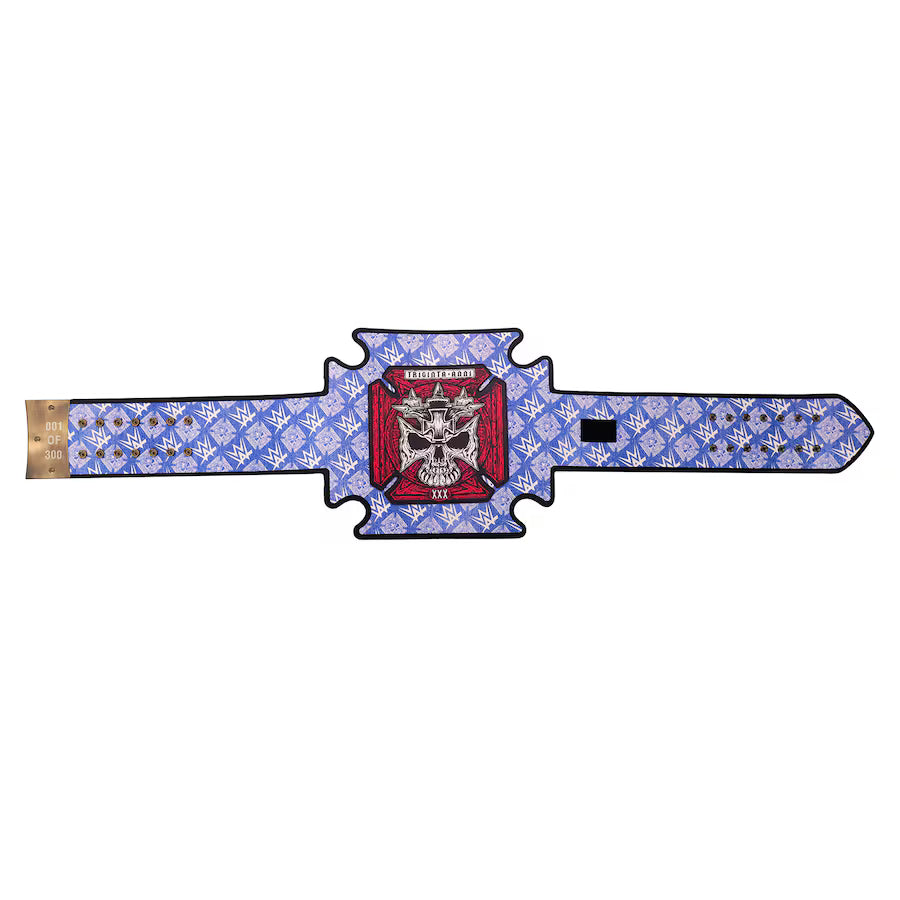 Triple H 30 Years Evolution World Heavyweight Championship Title Belt