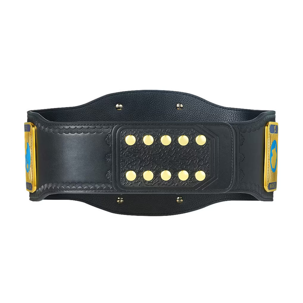 Attitude Era Intercontinental Championship Replica Title Belt