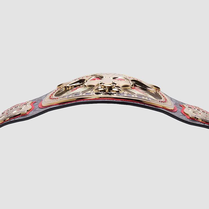 The Rock Belt Signature Series Replica Title belt